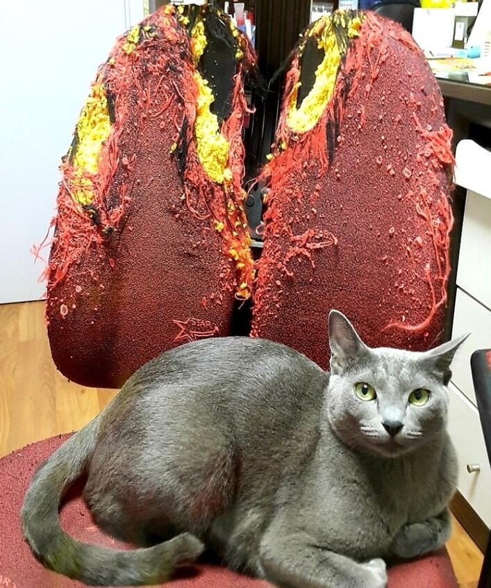 고양이 키우던 사람의 폐 사진 | 인스티즈