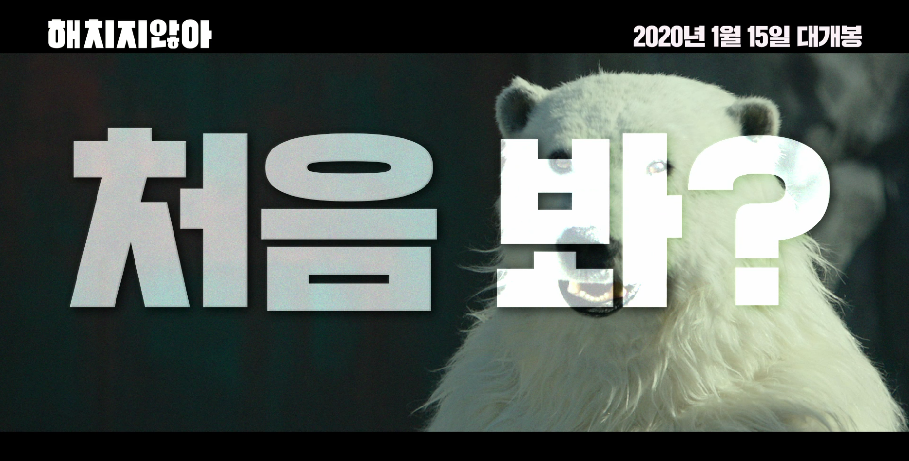 신선도 이미지