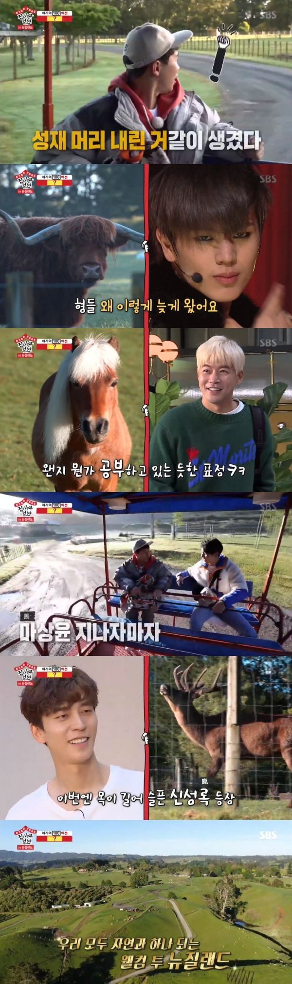 Yang Se-hyeong X Lee Seung-gi found member Similiar animalOn SBS All The Butlers broadcast on the 8th, Yang Se-hyeong and Lee Seung-gi, who visited New Zealand to meet the master, met the members Similiar animals.On the day of the broadcast, Yang Se-hyeong of New Zealand Airport reasoned about the master and said, He called it here.Its going to be tough in the history of All The Butlers, he said.Yang Se-hyeong and Lee Seung-gi, who were watching the New Zealand scenery, discovered the member Similiar animal.You look like Yook Sungjaes head is down, it doesnt even move like a holy material, said Lee Seung-gi, who discovered the cow.When I found the horse, I laughed, saying, It is the same as when I dyed Lee Sang-yoon.Yang Se-hyeong found the deer and said, Shin Sung-rok is a brother. There are comrades everywhere.