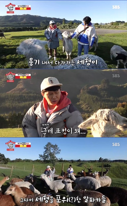 All The Butlers Yang Se-hyeong is hardened by the dignity of Alpaca.On SBS All The Butlers, which was broadcast on the 8th, the members who met Kim Byung-man, the master, got on the air.The members carried out the mission he gave them before meeting the master: finding a sheep with a necklace on their neck.However, Yang Se-hyeong was afraid and could not reach the alpacas.When Alfaca approached him, he stiffened and laughed.In the end, he also showed only instructions to Lee Seung-gi.