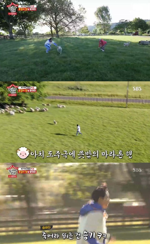 All The Butlers Lee Seung-gi has been knocked down by Alpacas amazing running skills.On SBS All The Butlers, which was broadcast on the 8th, the members who met Kim Byung-man, the master, got on the air.On this day, the members performed the mission he gave them before meeting the master: to find an alpaca with a necklace on his neck.The two were unable to find the amount of necklaces easily due to numerous sheep on the large earth.At that moment a sheep-driving dog helped the two, and Yang Se-hyeong found an alpaca with a necklace at that moment.Lee Seung-gi was close by giving Alpaca a grass, but when he tried to remove the necklace, he chased after the running Alpaca, but gave up on the speed too fast.