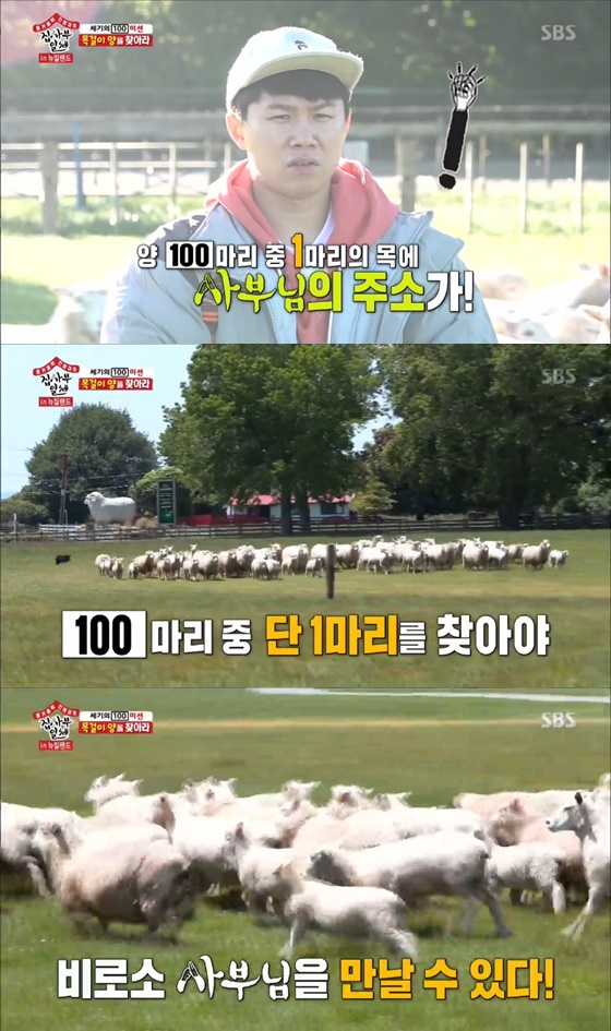 Lee Seung-gi and Yang Se-hyeong received a new mission in All The Butlers in New Zealand.In the SBS weekend entertainment program All The Butlers in New Zealand broadcasted on the afternoon of the 8th, 54% of the country was filmed in New Zealand, a pasture.Lee Seung-gi and Yang Se-hyeong went out to find a sheep with a necklace, saying, One of the 100 sheep has an address to meet the master.Lee Seung-gi regretted not having caught him, saying, I just saw him (the kid with the necklace). Miss Necklace was in front of her eyes, but it was not easy to hide between the sheep in a blink.She knew she was slow, and she jumped faster than expected, and then shepherd dogs appeared to help the members, helping the two members.