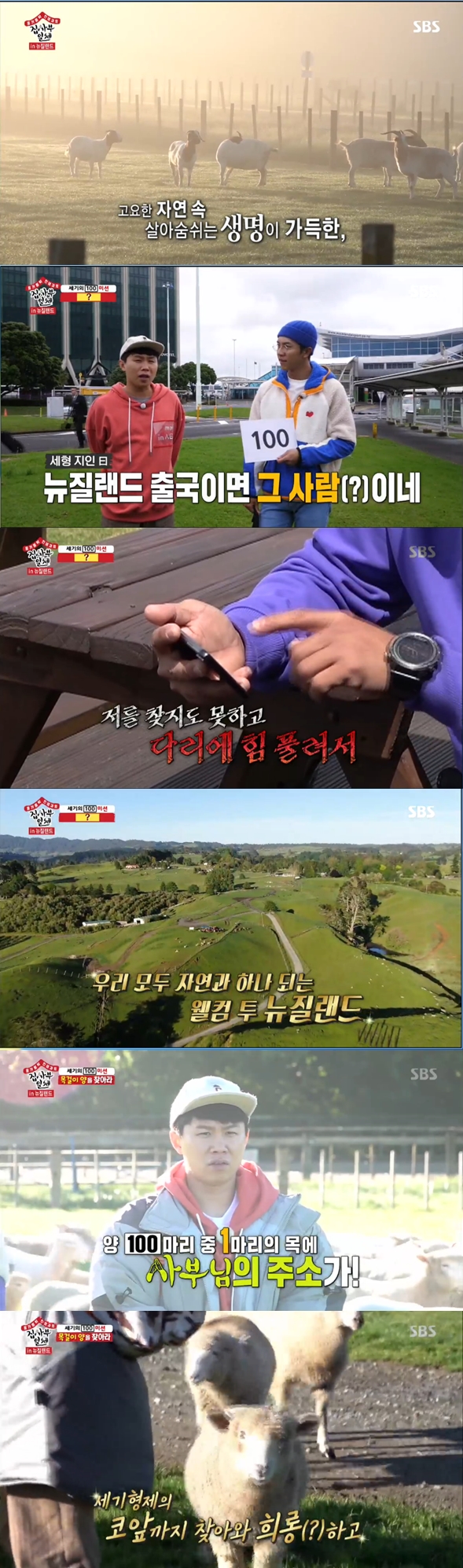 The sheep were a hundred.In the SBS entertainment program All The Butlers broadcasted on the night of the 8th, members who perform the mission presented by the new master in New Zealand where nature and human being coexist beautifully came out.Lee Seung-gi and Yang Se-hyeong, who chose 100 out of the missions given by Master in Korea last week, crossed the Mother Nature where animals ran in carts.The two of them laughed at each animal they saw, including the upbringing material, Lee Sang-yoon, and Shin Sung-rok.The mission, given by Lee Seung-gi and Yang Se-hyeong, was to find the bare sheep with a necklace with the address of the place where the master was among the 100 sheep.Lee Seung-gi, who had seen the sheep in the necklace before receiving the mission, was sorry: the two were soon swelled with anticipation to find.However, the mission was not easy.The sheep quickly dispersed, clustered, and moved in groups, making it difficult for them to catch up.The rancher released two dogs and helped the two.