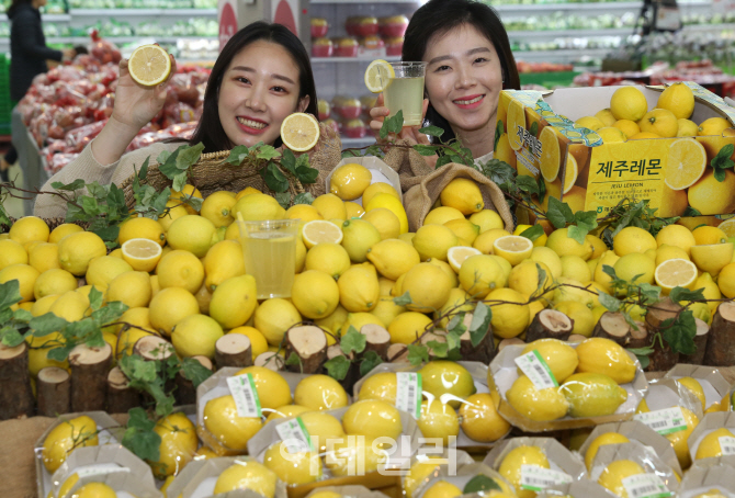 노화농협하나로마트 이미지