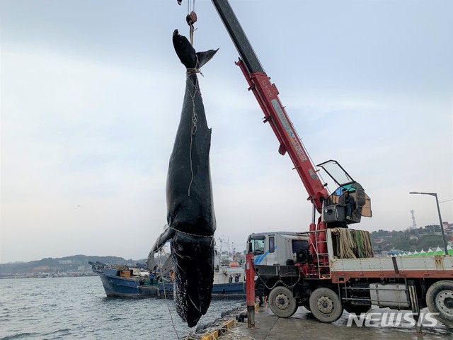 울진해양경찰서(죽변파출소) 이미지