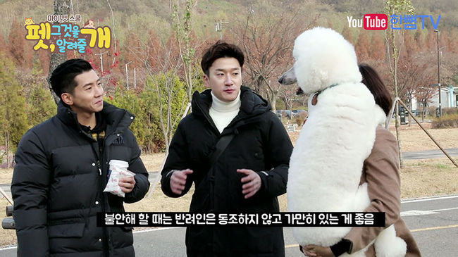 브라이언스쿨 이미지