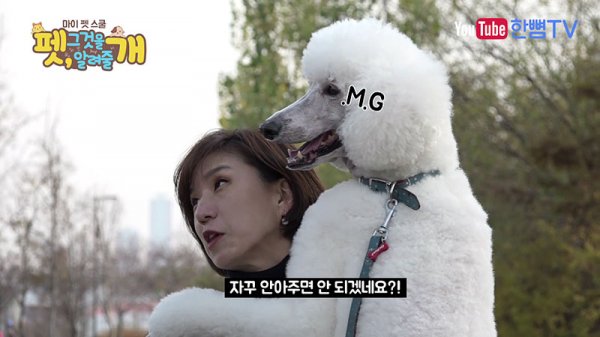 브라이언스쿨 이미지