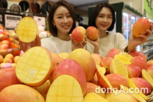 애플망고 이미지