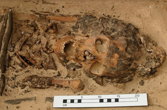 3300년 전 이집트 무덤서 발견된 유골. 20대 여성으로 추정/사진=영국 데일리메일 화면 캡처
