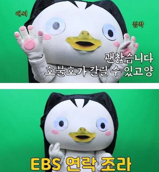 고양시청 '괭수' KBS '역수' 인사처 '펑수'..'펭수' 짝퉁 논란 | 인스티즈