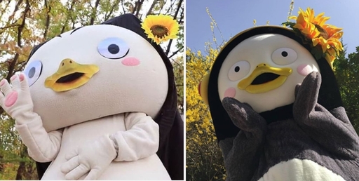 고양시청 '괭수' KBS '역수' 인사처 '펑수'..'펭수' 짝퉁 논란 | 인스티즈