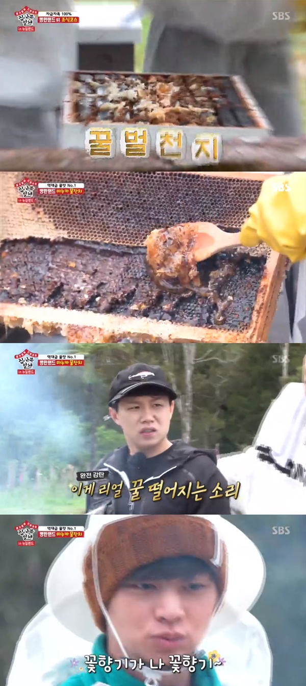All The Butlers Kim Byung-man has unveiled a beekeeping bag in the bottle.In SBS entertainment All The Butlers broadcasted on the 15th, Kim Byung-man released Byeongman Land of New Zealand.On this day, Kim Byung-man, Yoo Sung-jae and Lee Seung-gi went on beekeeping to collect manuka honey.They used smokers to lower the bees aggression and bring honeycombs.Later members tasted Manuka honey; Lee Seung-gi said, I knew why I was greedy for other honeypots, I stole them if I were you.Yang Se-hyeong admired, too, that Body Chemistry is in honey.The members screamed happily by eating the honey they had collected directly on the bread.