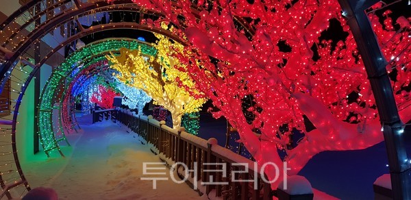 마이산홍삼호떡 이미지