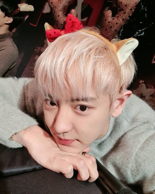 Chanyeol of group EXO has turned into a cute Rudolph.Chanyeol posted a picture on his 17th day with a Gross named Miri Christmas on his instagram.In the photo, there is a picture of Chanyeol taking a selfie with Rudolphs headband.Chanyeol, who also perfected the cute Rudolph headband, captivated the fan with handsome visuals.Meanwhile, EXO, which Chanyeol belongs to, has recently released its regular 6th album OBSESSION (Option), and has been active in the KSPO DOME at Seoul Olympic Park for three days from December 29 to 31, and has performed an encore concert EXO PLANET #5 - EXpLOration [dot] - (EXO Planet #5 - Exploration) [Dot] - ) is held.Chanyeol Instagram