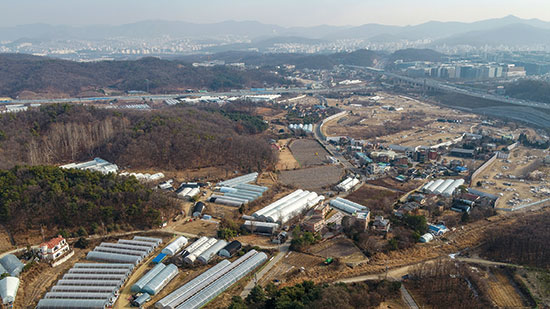 평화당1979 이미지