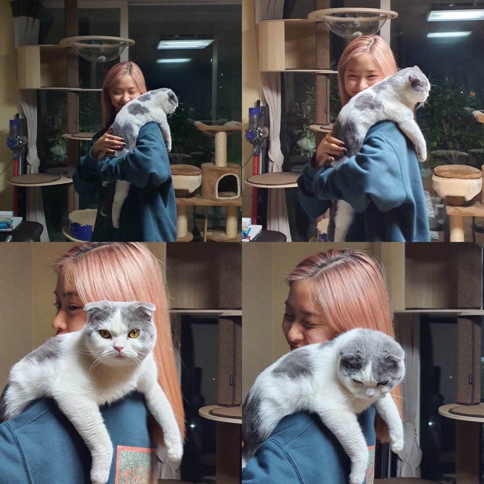 Ryu Jin of group ITZY (ITZY) has revealed his affectionate routine with Cat.Ryu Jin posted several photos with Cat on the ITZY Instagram on the 18th, along with an article entitled Story of the Struggle.In the open photo, Ryu Jin poses with Cat in his arms, and Ryu Jins refreshing and happy appearance, which stands out in comfortable attire, melts the hearts of netizens.On the other hand, ITZY received a lot of love as ICY last summer and recently participated in MBC 2020 Special Idol Star Championship recording.Photo = ITZY SNS