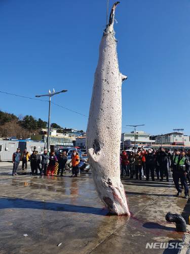 울진해양경찰서(죽변파출소) 이미지