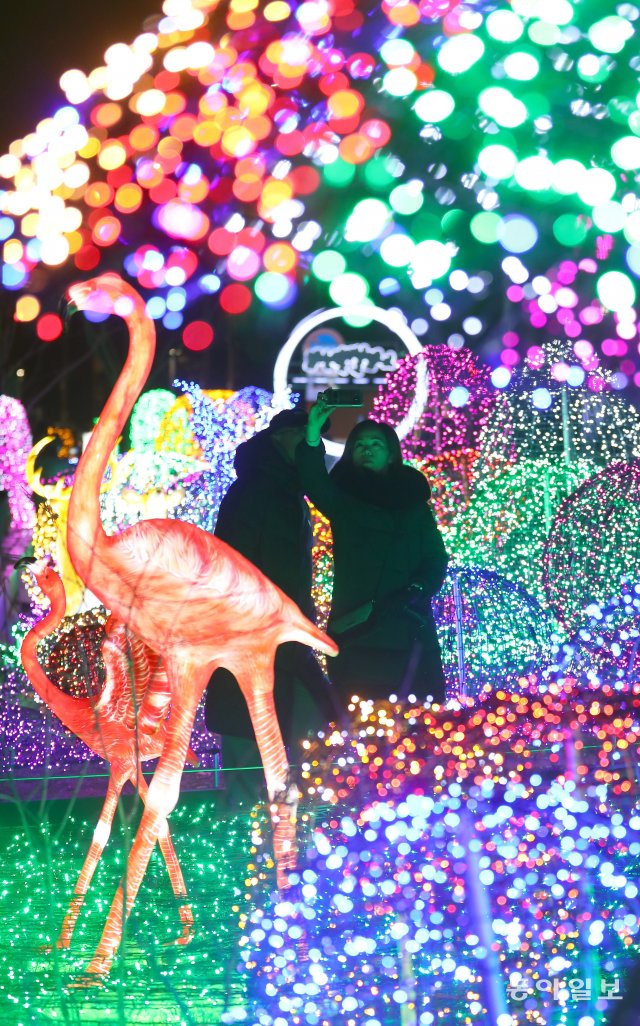 21일 서울 노원구 화랑대역 철도공원에 불빛 정원이 개장됐다. 관람객들이 발광 다이오드로 조형물들을 살펴보고 있다.