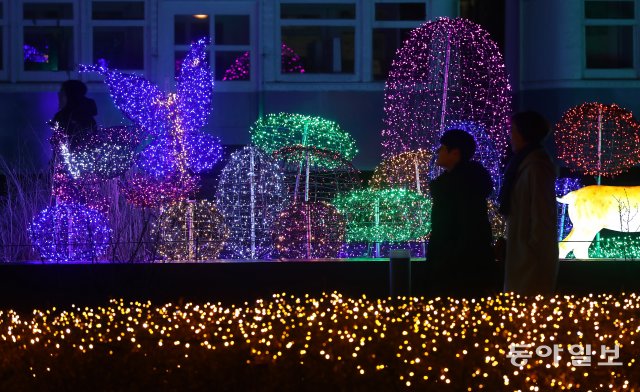 21일 서울 노원구 화랑대역 철도공원에 불빛 정원이 개장됐다. 관람객들이 발광 다이오드로 조형물들을 살펴보고 있다.