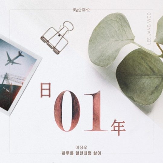 꽃길만걸어요 이미지