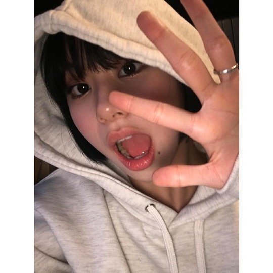 트와이스 채영&amp;사나.jpg | 인스티즈