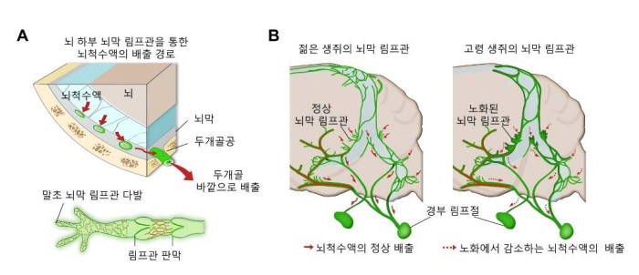 청소는과학이다 이미지