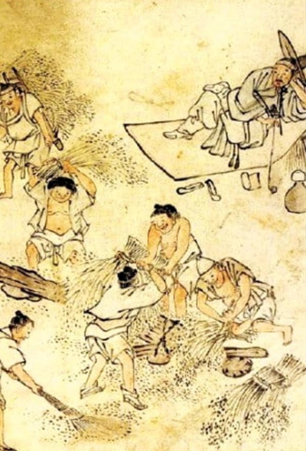 세기비료 이미지