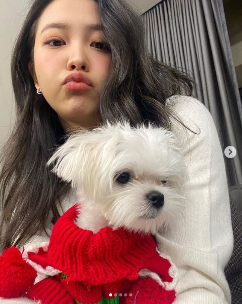 Red Velvets Yeri flaunts luscious charm with PetYeri posted five photos on his Instagram account of 24 Days with the caption: Merry Christmas Eve.In the photo, Yeri is making a mischievous look with Pet in his arms in red fur, and Yeris long black hair and pink makeup add to his loveliness.Red Velvet member Joy commented, It is not too cute, it is not a sun.Meanwhile, Red Velvet made a comeback with the title song Psycho on the 23rd.Photo: Yeri SNS