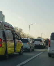 용봉 이미지