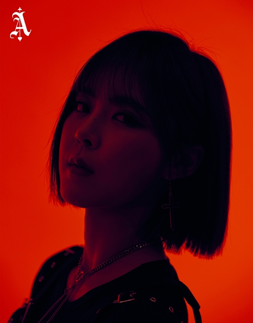 New member Jay has joined the girl group ANS.ANS Entertainment, a subsidiary company, released Jays profile photos and teaser videos through the official SNS channel on the afternoon of the 25th.In the open photo, Jay is showing a sophisticated and charismatic visual.In the video, I wonder if I dance a little to the song that flows out, or pose along the moving camera.The agency said, I am a member of the talent in various fields such as vocals and dance as well as rap, which is the main position.ANS is set to make a comeback in January 2020, and a second member will be released later after Jay.