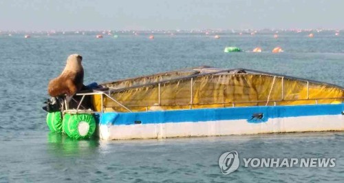 큰바다2 이미지
