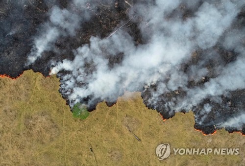 우림농산물 이미지