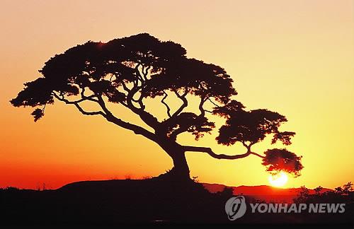 소나무회관 이미지