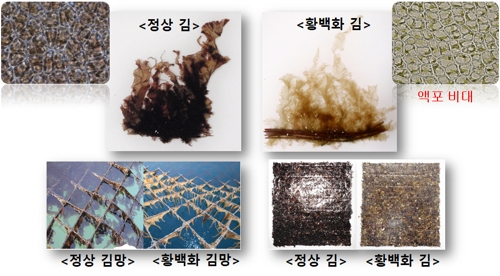 용기수산 이미지