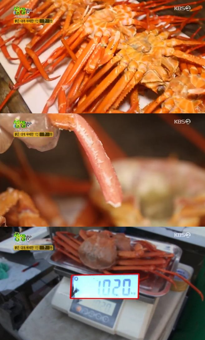 왕돌초 이미지