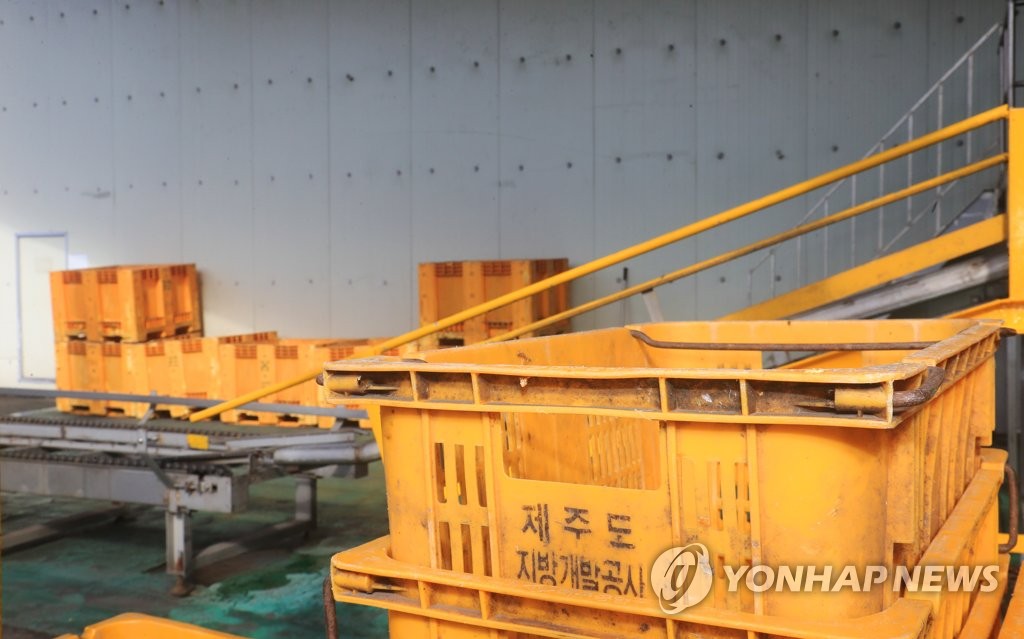 제주특별자치도개발공사(감귤1공장) 이미지