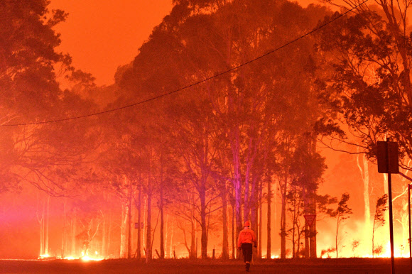 호주 뉴사우스웨일즈주에서 숲이 산불로 붉게 물든 모습. - AFP 연합뉴스