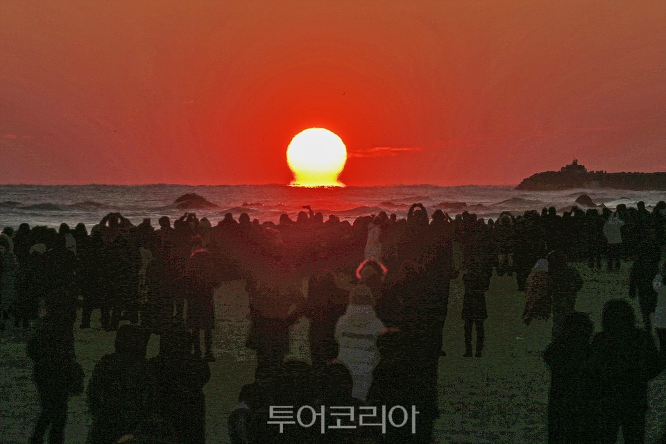 망상 이미지