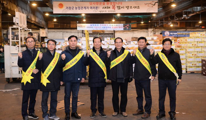 거창사과 이미지