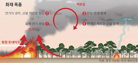 화염토네이도