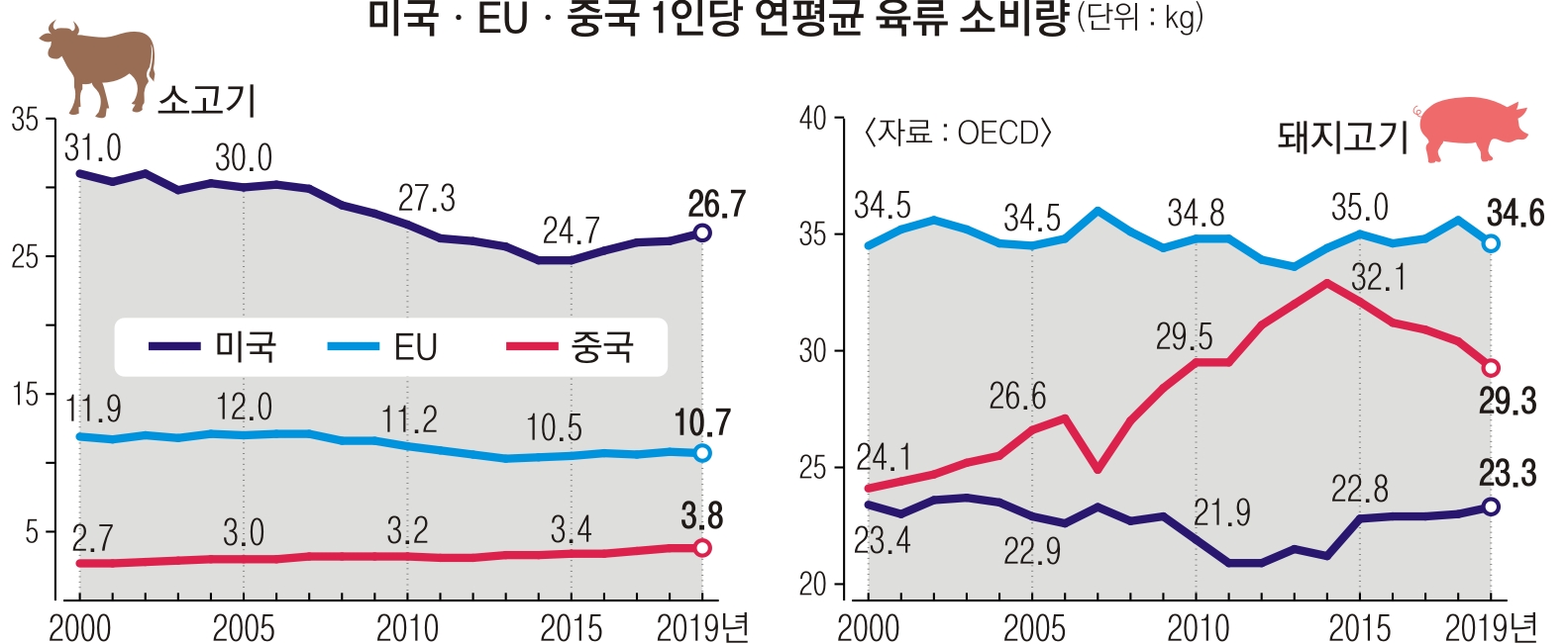 육식 이미지