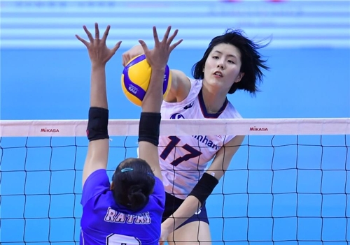 아르셀라 이미지