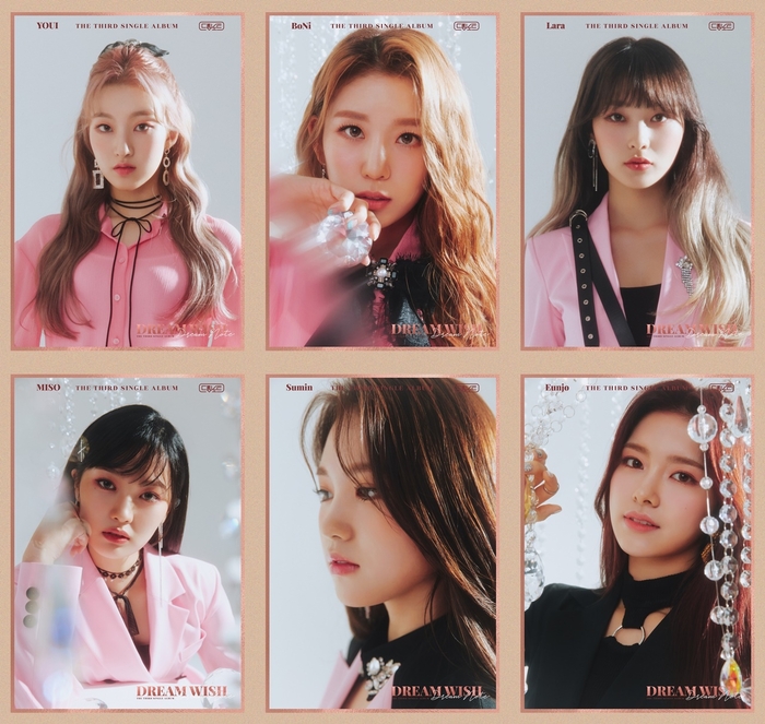 채워드림 이미지