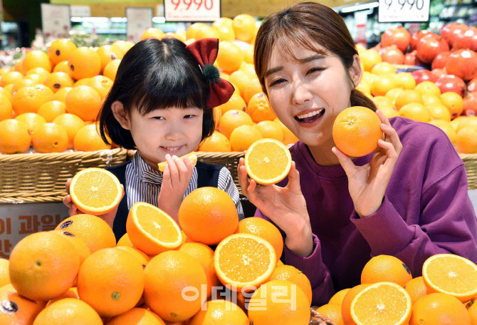 오렌지 이미지