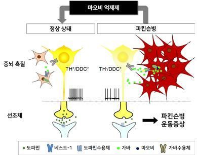 도파민 이미지