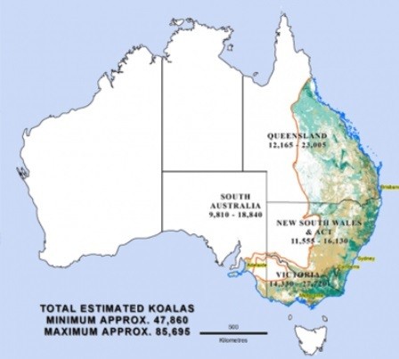 1월12일 현재 호주의 산불 현황(위)과 코알라 서식지. 대부분 겹친다. 파이어 워치, 호주 코알라 협회 제공.