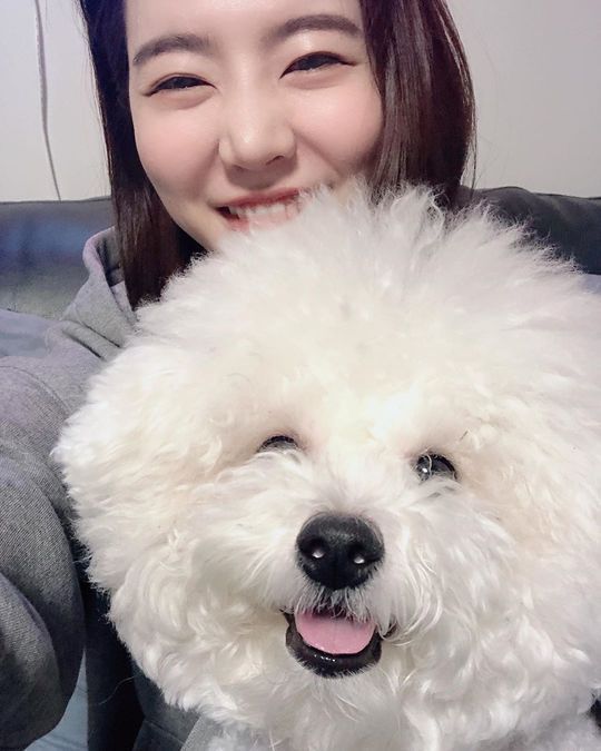 써니문구 이미지