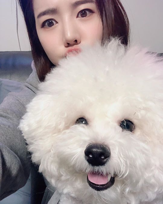 써니문구 이미지