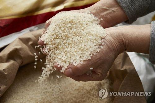 생쌀 자료사진. [연합뉴스 자료사진]