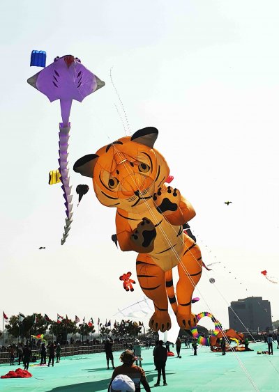연 이미지